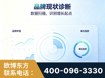 邓州-品牌现状诊断