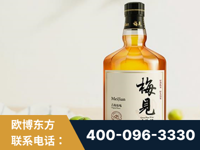 邓州-梅见青梅酒